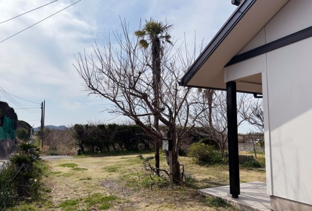 館山市佐野戸建の庭
