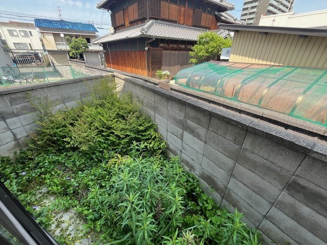 昭和町貸家の庭