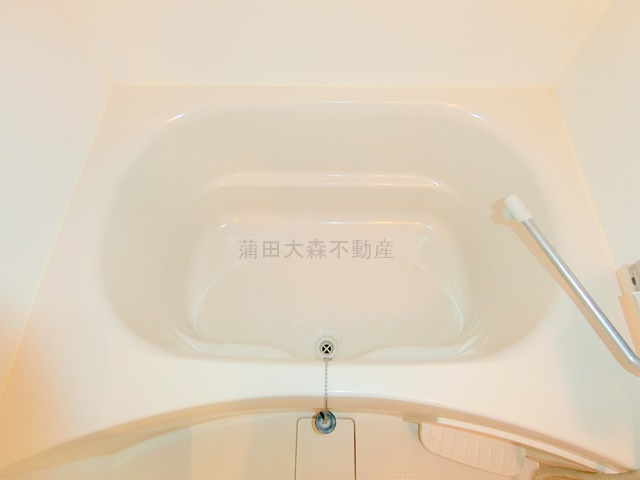 パティーナ蒲田の浴室