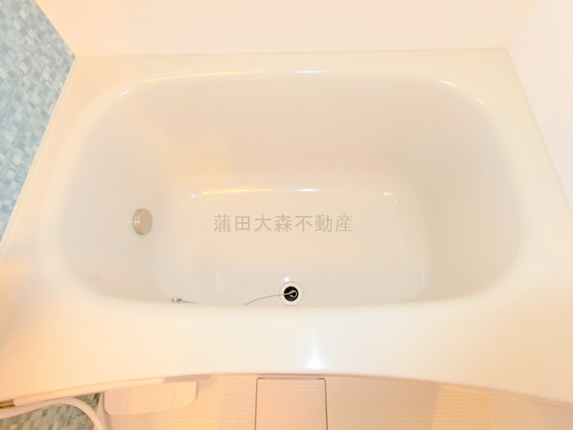ナズ多摩川レジデンスの浴室