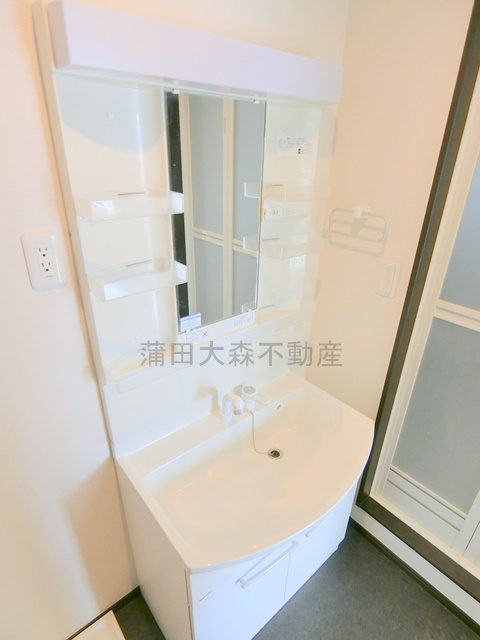 ナズ多摩川レジデンスの洗面所