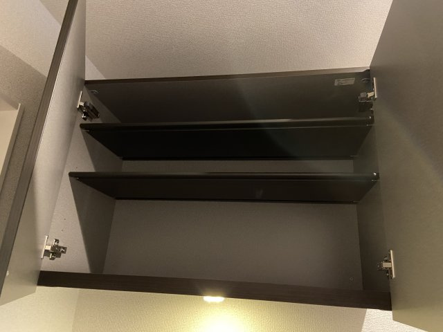アリスティオモトマチの収納|シューズボックス上段