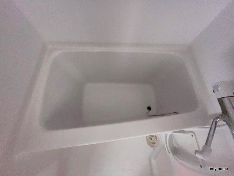 ラシュレエグゼ難波西　仲介手数料無料の浴室