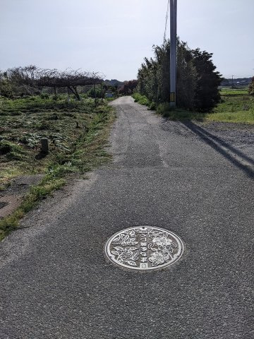大山町上市店舗のその他|前面道路