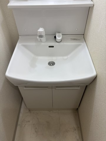 テルージュ菊名Ⅱの洗面所