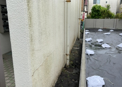 【外観】 | シードオン２１ | 物件によっては、入居者が個人的に使用できる専用庭がついているものもあります。また、住宅の中にある土間の部分を庭と呼ぶこともあります。庭の用途は住む人によって変わり、それによってデザインもさまざまです。