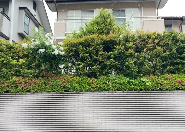 【庭】 | 庭のある家に住むことのメリットとして、子どもたちの遊び場を確保できること、ガーデニングや家庭菜園を楽しめること、明るさを確保できることがあります。また、配置を工夫することでプライバシーが確保できます。