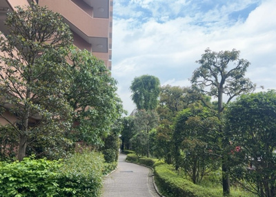 【展望】 | タウンズ八王子センタークレスト | 眺望を気にして物件を探す場合、前面に建物が建っていないか現地で確認しましょう！前面に建物があると景色はもちろん、日当たりや風通しにも影響が出てきます。住んだ時のことを想像しながら現地見学をしましょう。