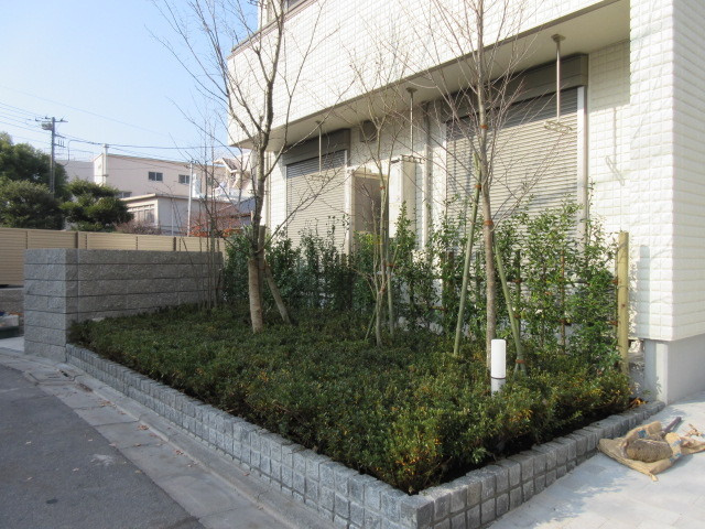 Maison de Tiaraのその他