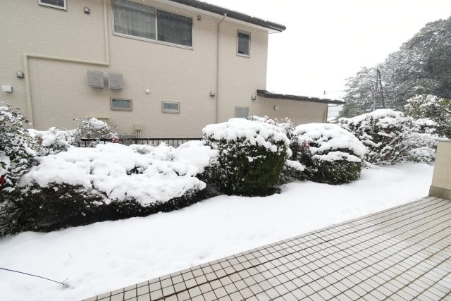 テラスハイツ鳴滝の庭|お庭の付いた物件です