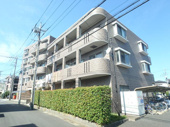 フォルトゥナ光の画像