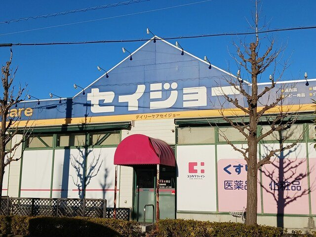 ヒカルサ川口芝西の周辺|セイジョー芝塚原店まで656m