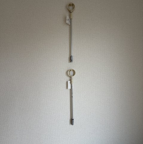 ヴィーヴルのその他