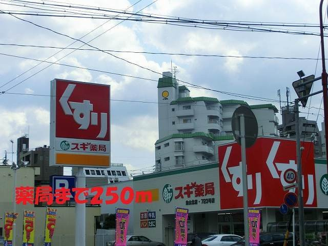 プラシード　Ｙ’ｓの周辺|スギ薬局まで250m