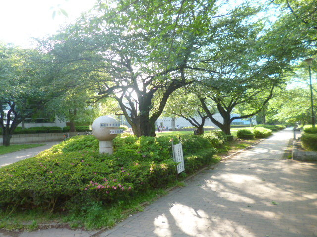 パークサイドシャトルのその他|城北中央公園