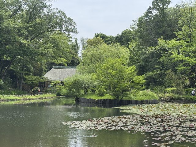 横浜市都筑区早渕1丁目邸宅の画像