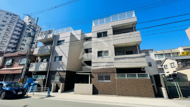 阪南町COSMOS