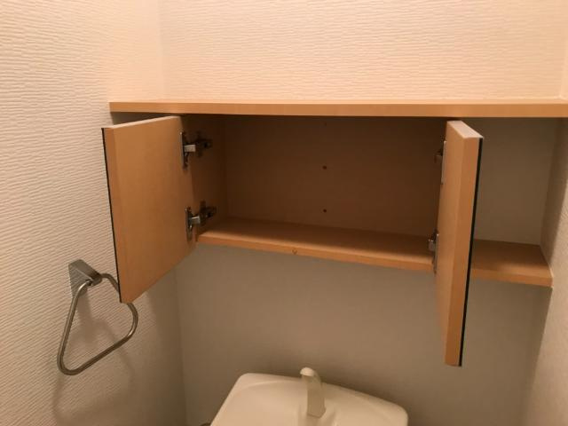 ハーフバレーⅡのトイレ|トイレ収納