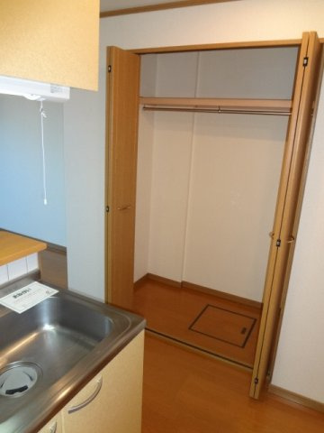熊本市中央区坪井６丁目のアパートの収納|こまごまとしたものを収納できそうですね
