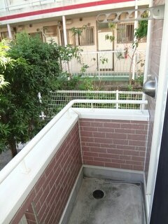 熊本市中央区坪井６丁目のアパートのバルコニー|陽当たり良好なバルコニーです