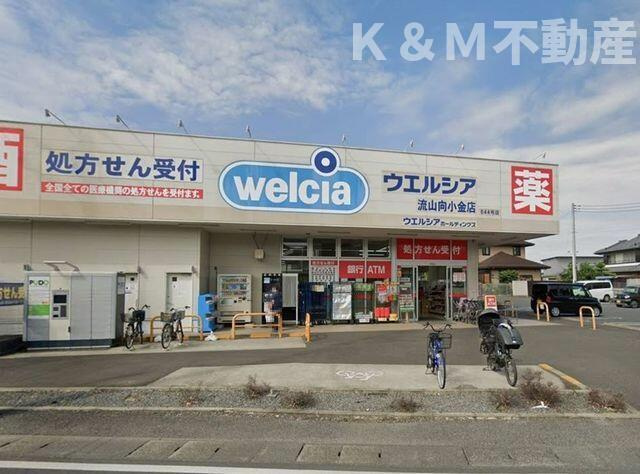 フィオーレ　モリの周辺|ウエルシア向小金店まで500m 