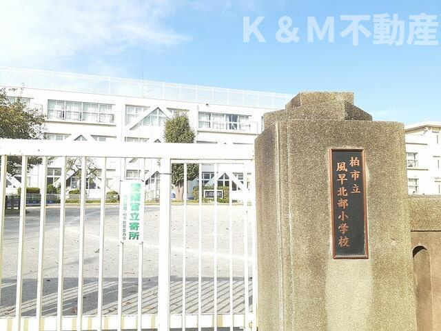カーサ・大井Ｂのその他|柏市立風早北部小学校まで908m 