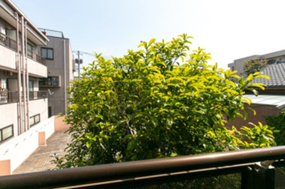 【展望】 | ラジェンテユウ