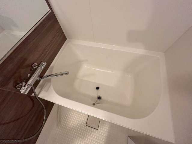 LaDouceur豊中南の浴室