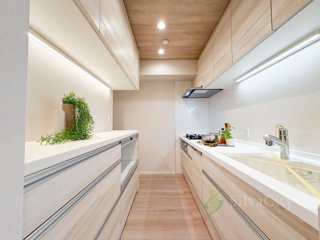 日商岩井大岡山第2マンションB棟のキッチン