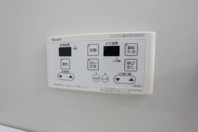 ピエナのその他