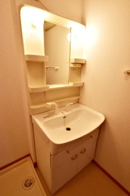 メゾンクレール壱番館の洗面所