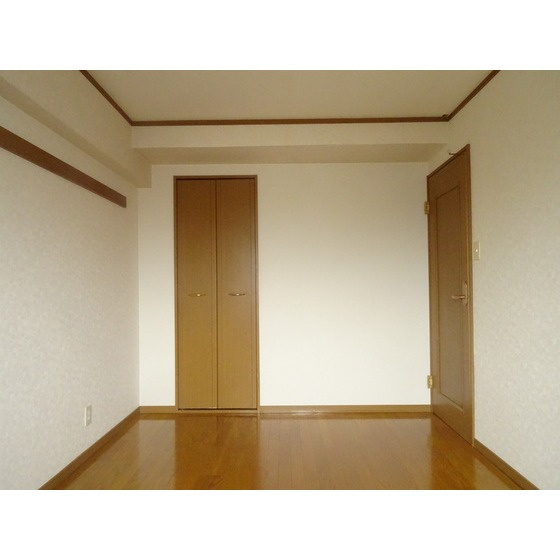 熊本市東区新外３丁目の賃貸マンションの内装
