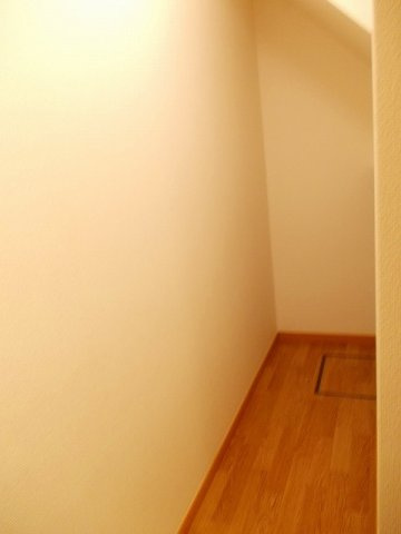 セレーノⅠのその他
