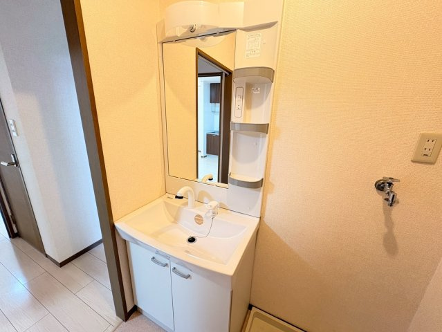 ラークハイムⅡの洗面所