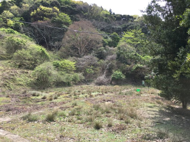 富津市梨沢　古民家の庭