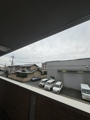 【展望】パームツリーＢ