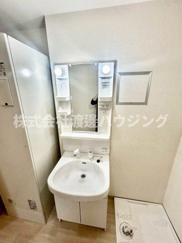 アムールLusterの洗面所