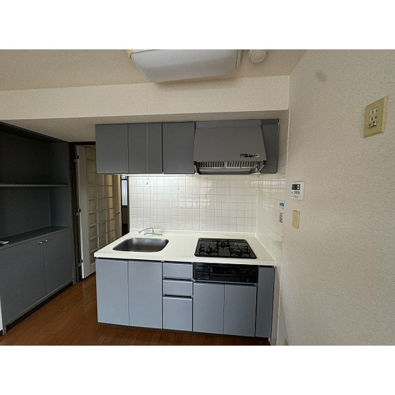 【キッチン】 | カピトール川崎Ⅰ | 別部屋参照：全体