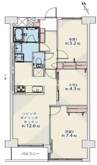 グリーンパーク東砂の間取り|南西向きにつきまして日当たり・通風良好。2025年11月にフルリノベーションをしたお部屋ですので室内は大変きれいな状態です。