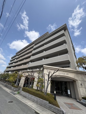 アルファステイツ青江の画像