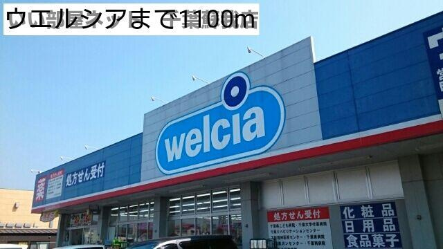 ジーナル１のその他