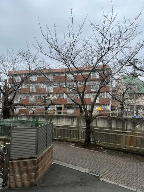 ハーモニーテラス板橋栄町の展望