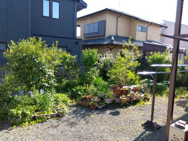 売中古戸建　富士市中里の庭|南向きの広いお庭があります。家庭菜園やガーデニングが楽しめます。