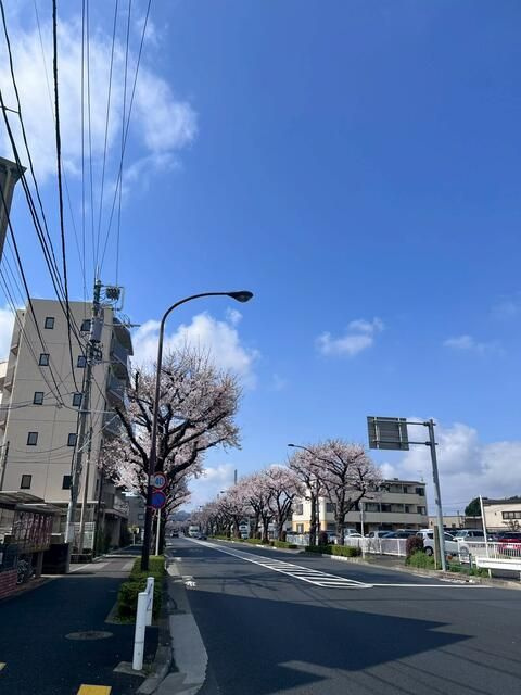 エストゥルース府中の周辺