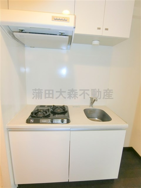ライジングプレイス蒲田南のキッチン|2口ガスシステムキッチン