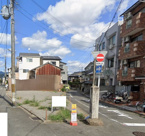 K12137-3号地紫竹の画像