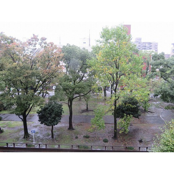 ＹＡＹＯＩ　ＣＯＵＲＴのその他|眺望