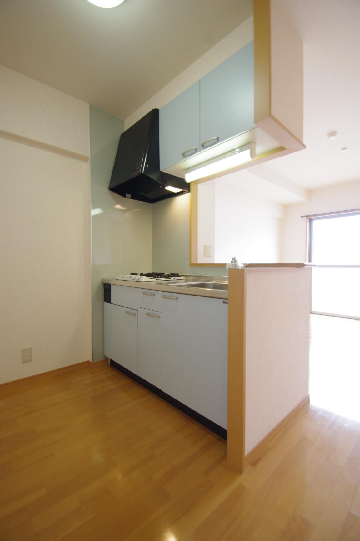 菊池郡菊陽町光の森２丁目の賃貸マンションのキッチン