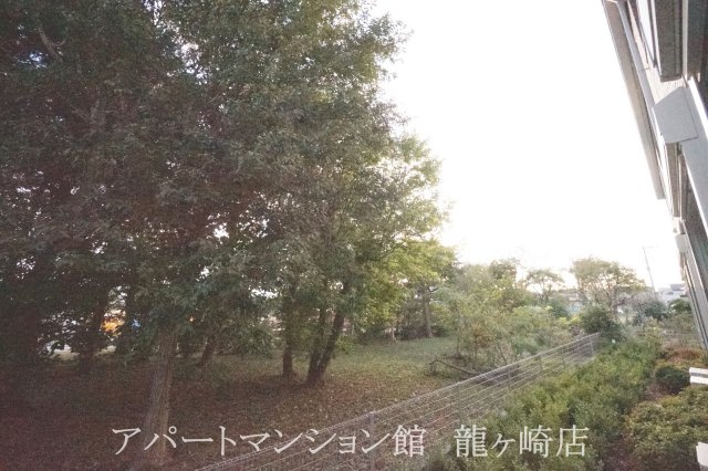 アール　ホームズⅡの展望