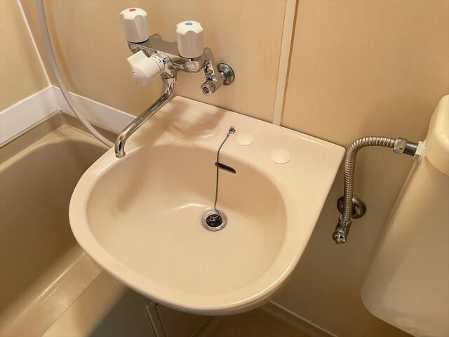 スカイコート池袋の洗面所